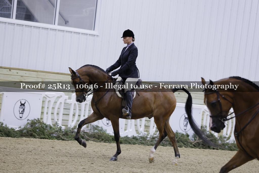 Proof 25R13_10646