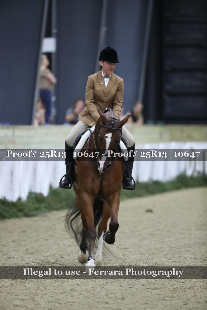 Proof 25R13_10647