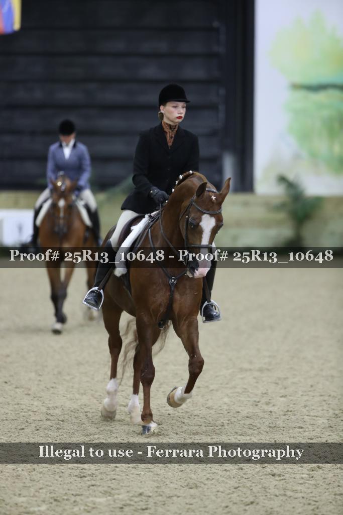 Proof 25R13_10648