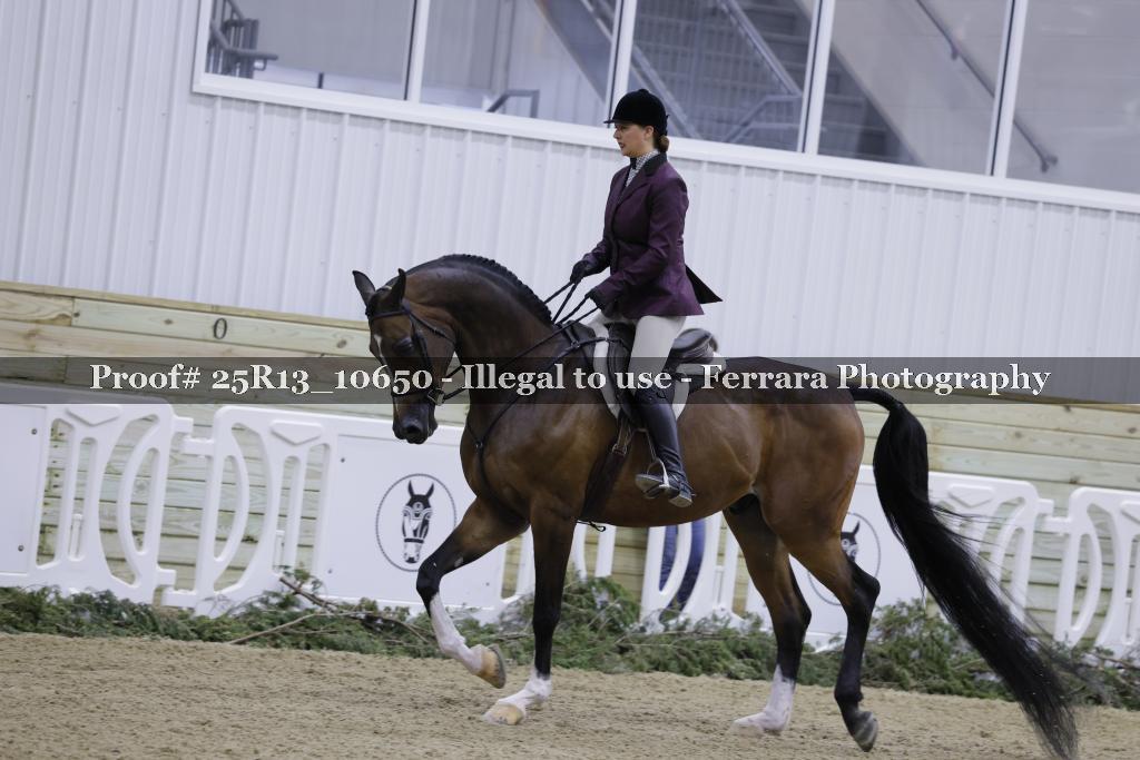 Proof 25R13_10650
