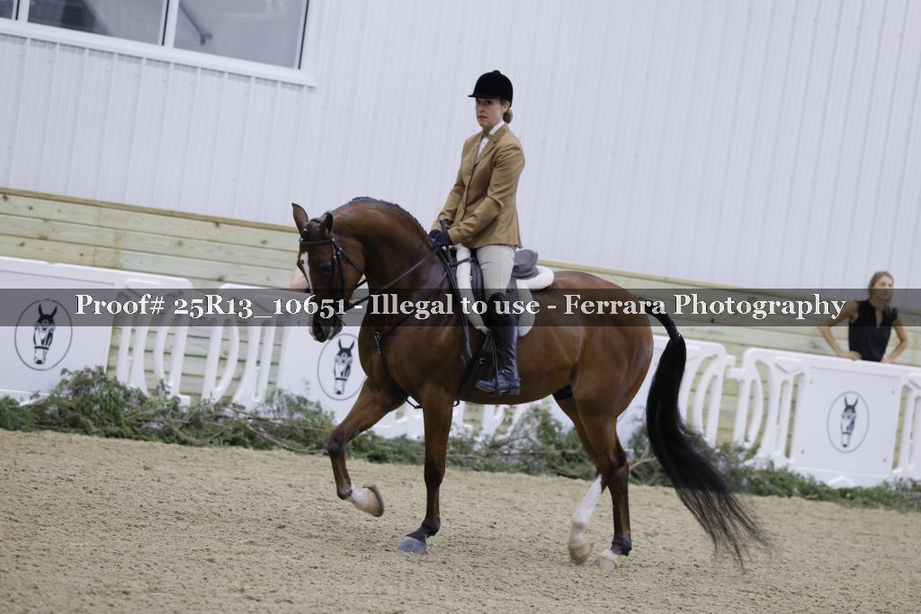 Proof 25R13_10651