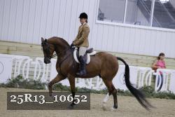 25R13_10652 proof