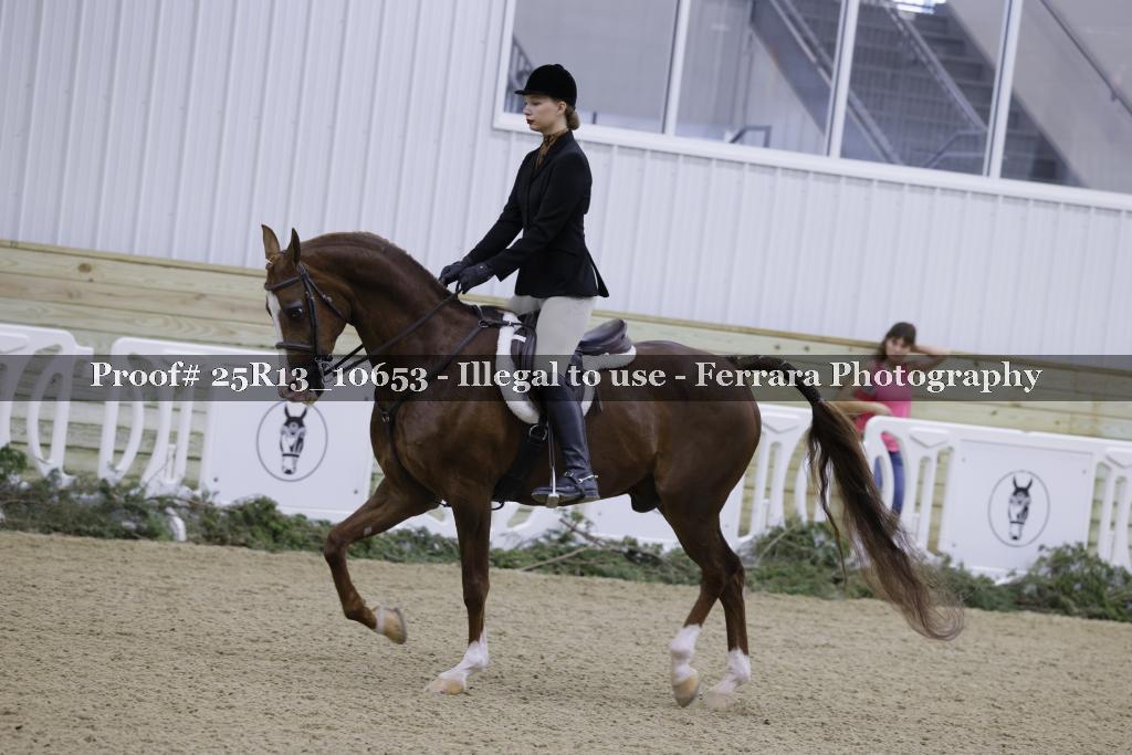Proof 25R13_10653