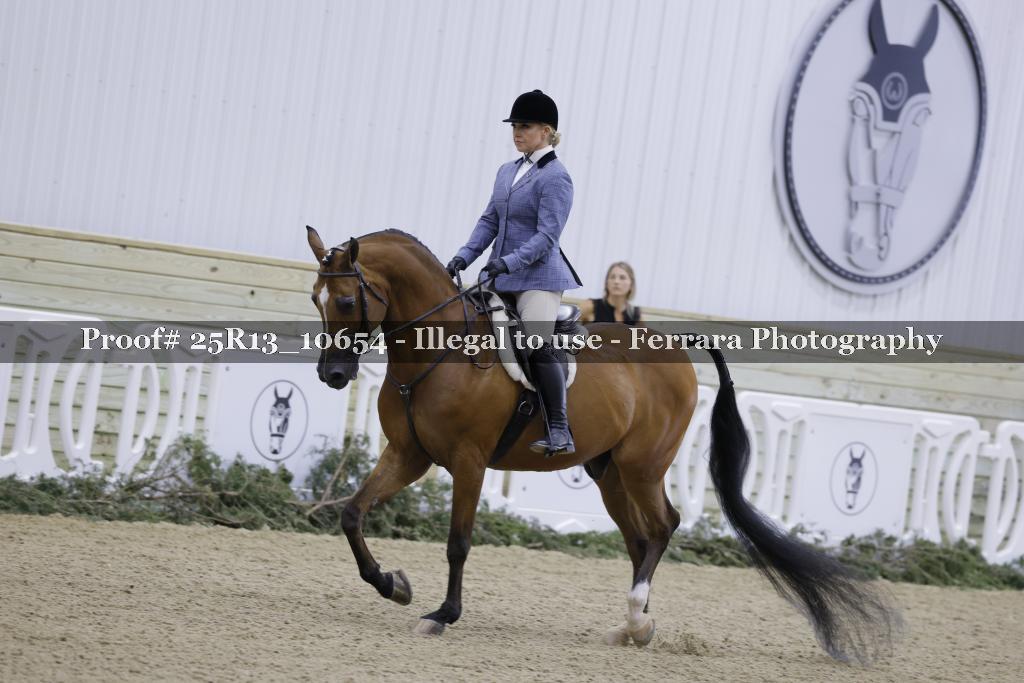 Proof 25R13_10654