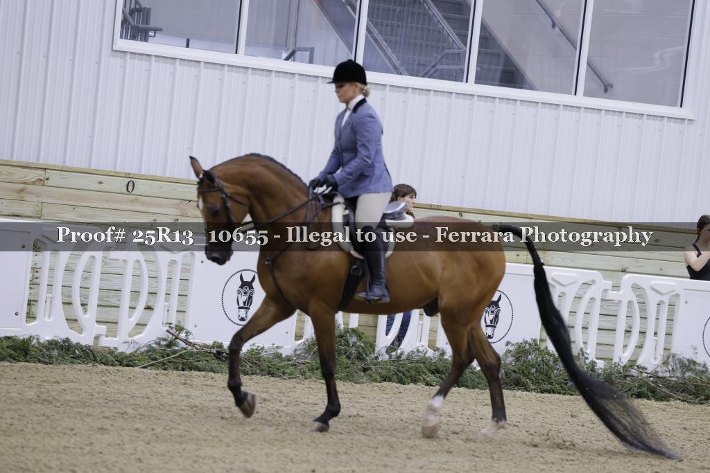 Proof 25R13_10655