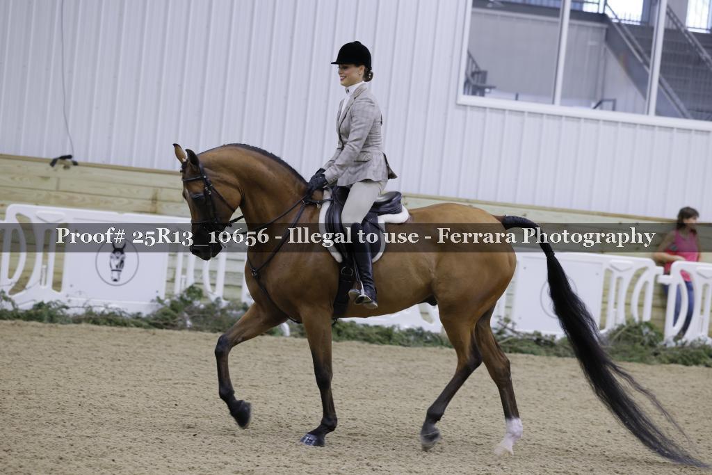 Proof 25R13_10656