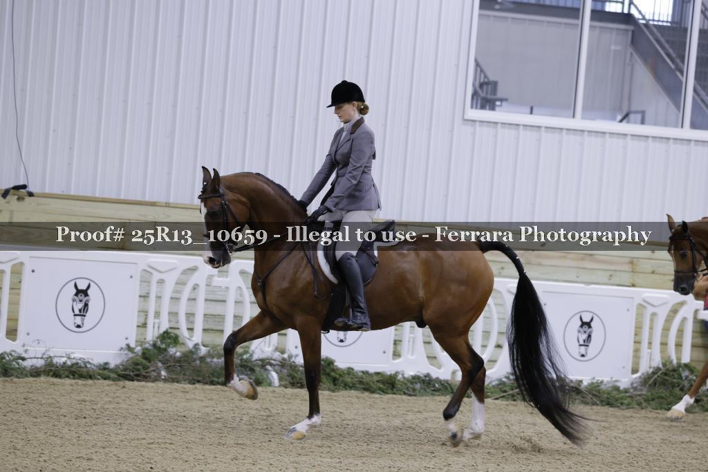 Proof 25R13_10659