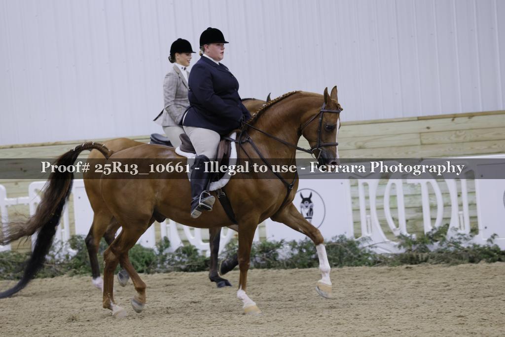 Proof 25R13_10661