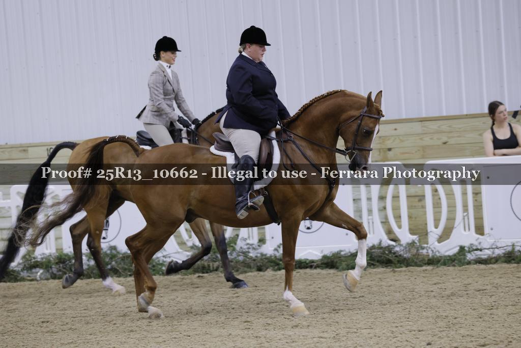 Proof 25R13_10662