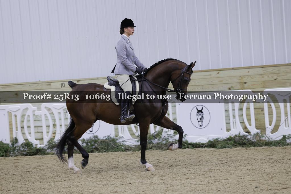 Proof 25R13_10663