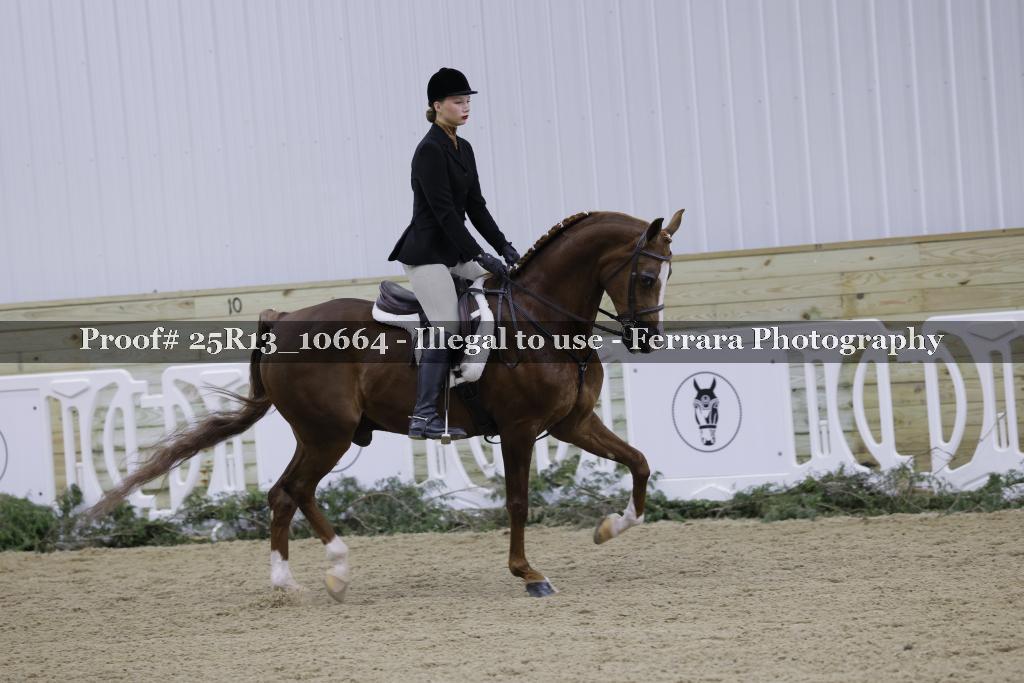 Proof 25R13_10664