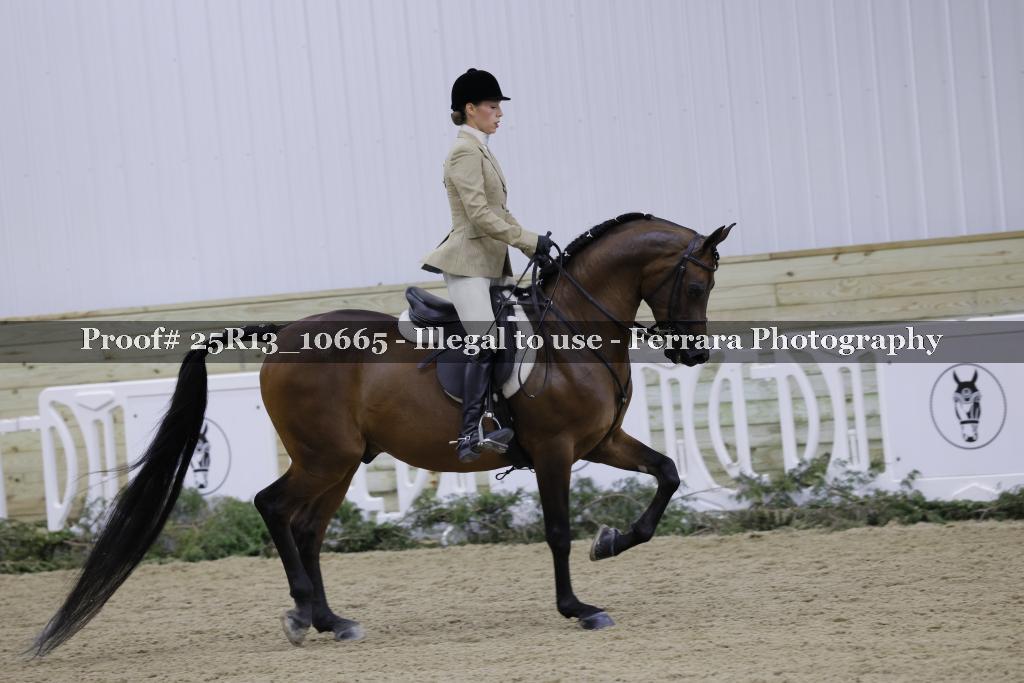 Proof 25R13_10665