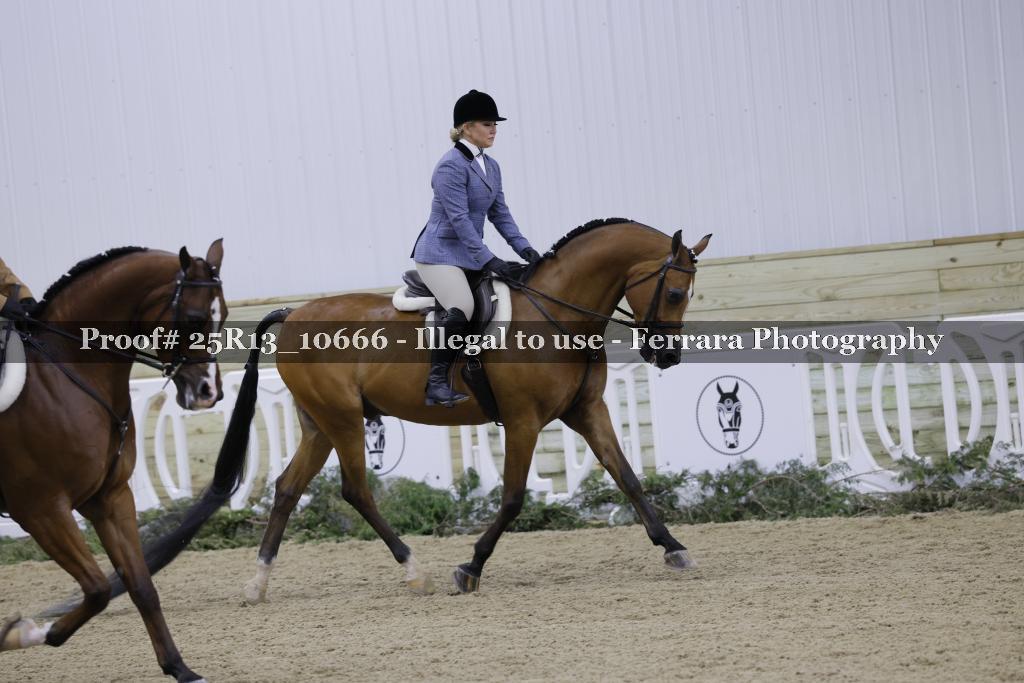 Proof 25R13_10666
