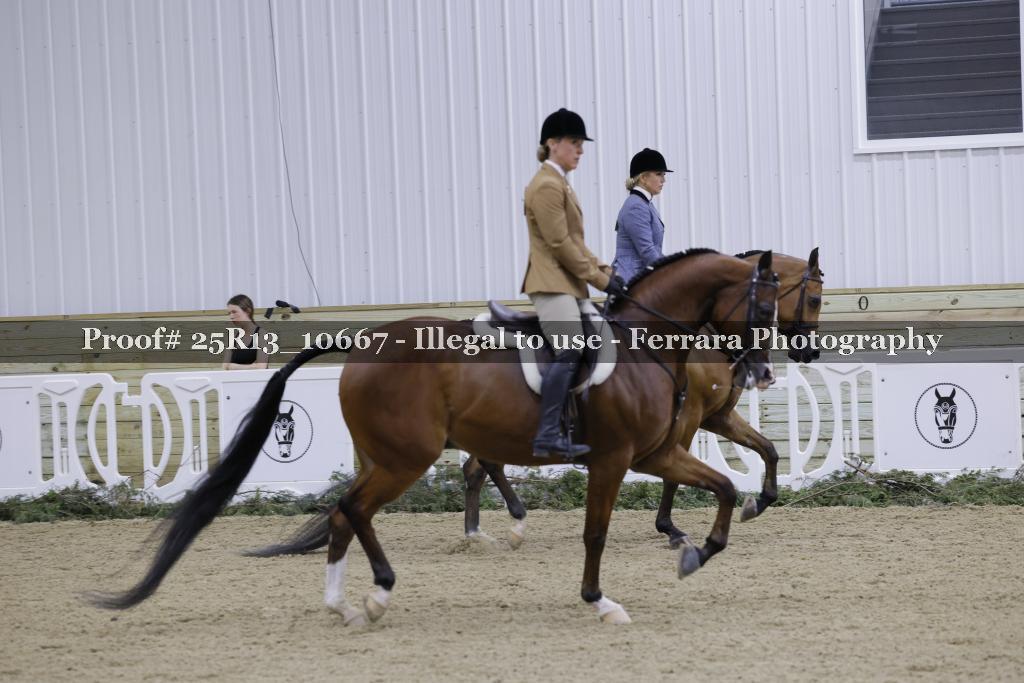 Proof 25R13_10667