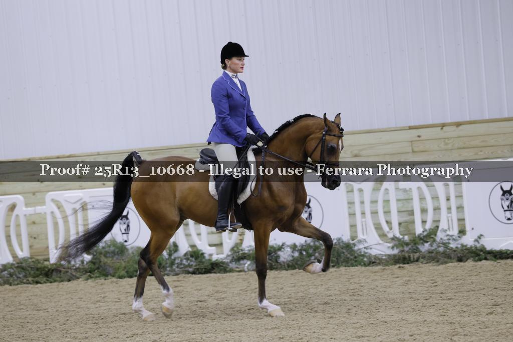 Proof 25R13_10668
