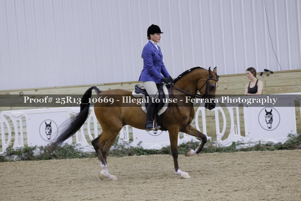 Proof 25R13_10669