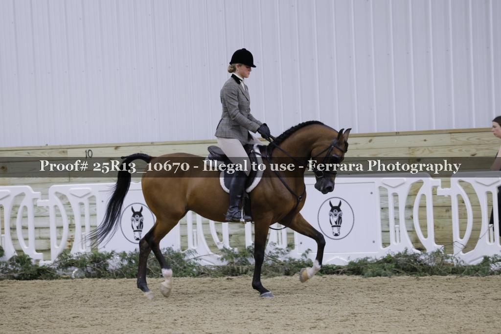 Proof 25R13_10670