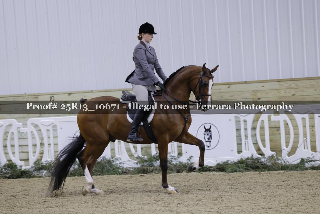 Proof 25R13_10671