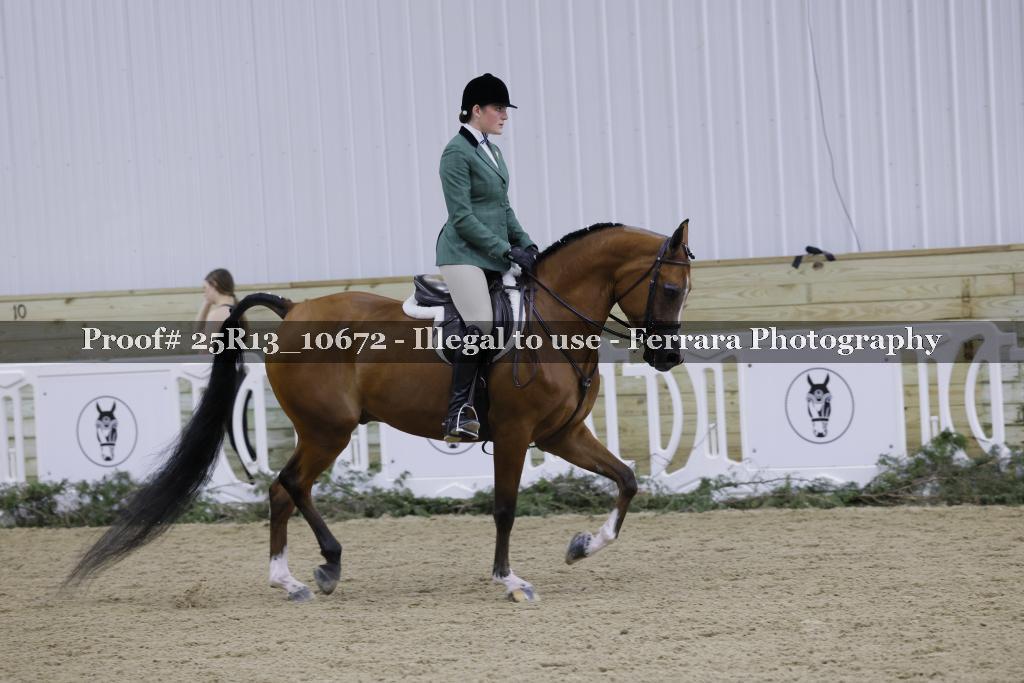 Proof 25R13_10672