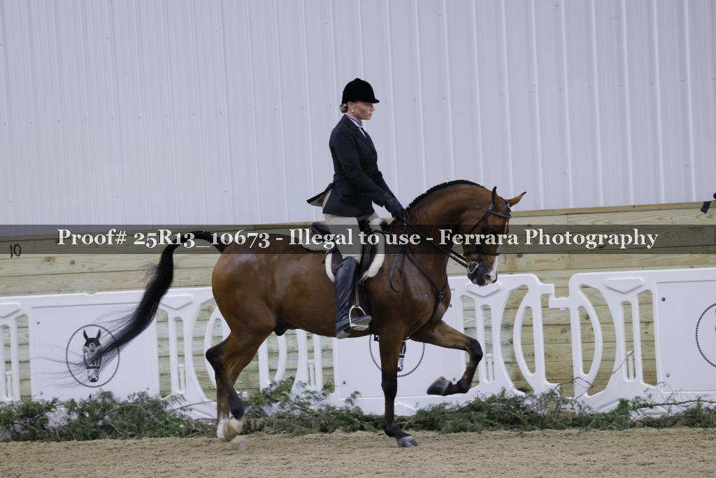 Proof 25R13_10673
