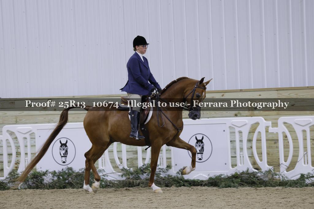 Proof 25R13_10674