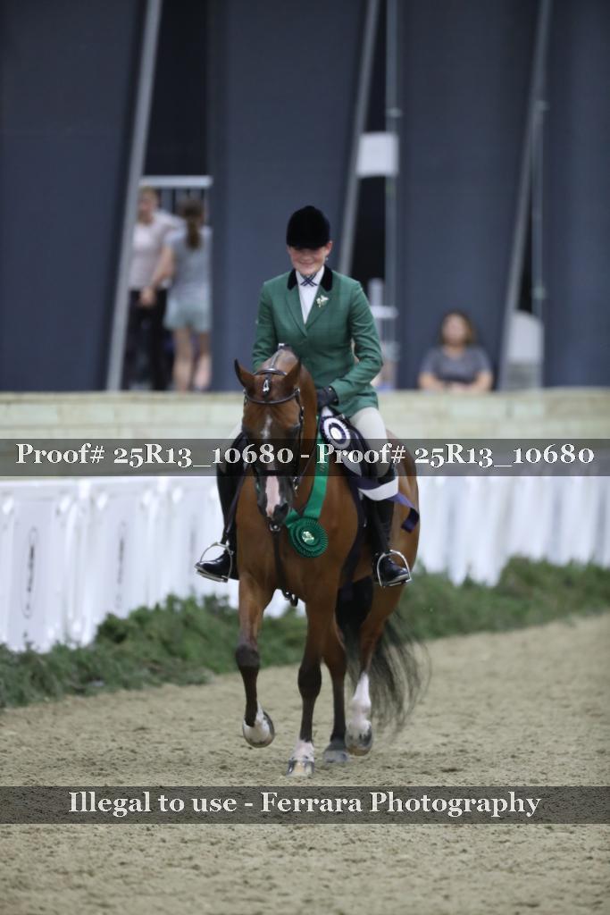 Proof 25R13_10680