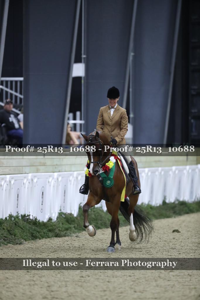 Proof 25R13_10688