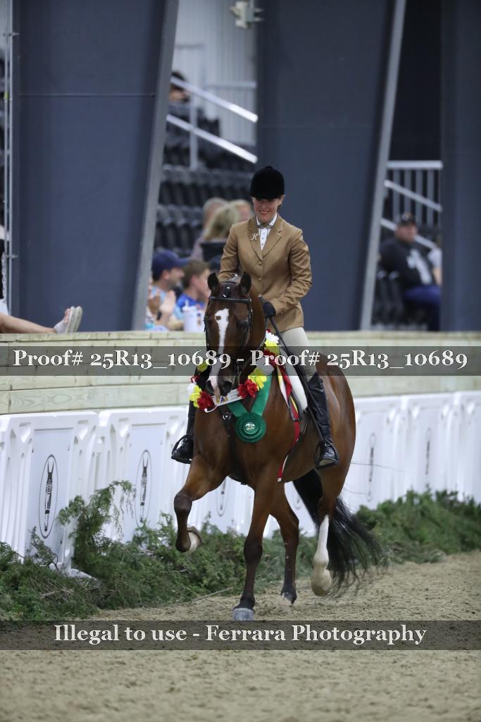 Proof 25R13_10689