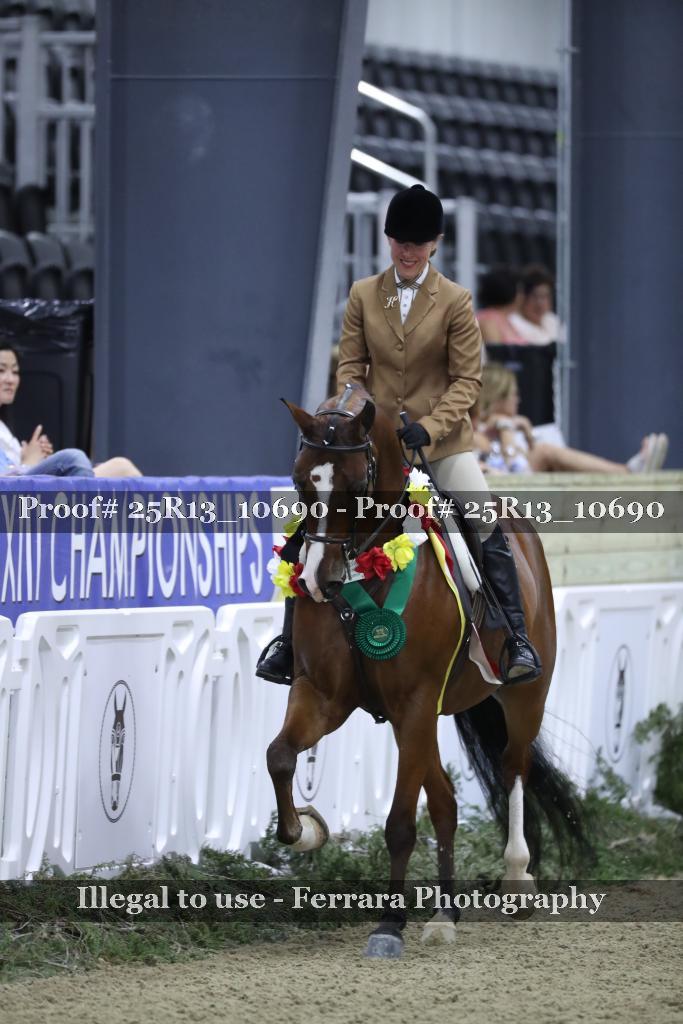 Proof 25R13_10690