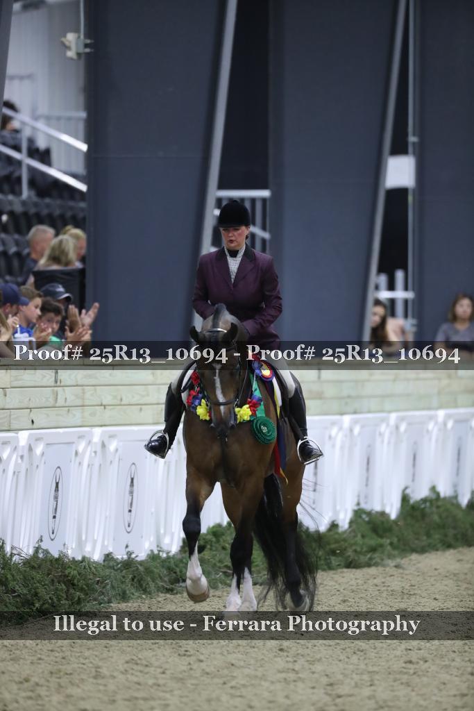 Proof 25R13_10694