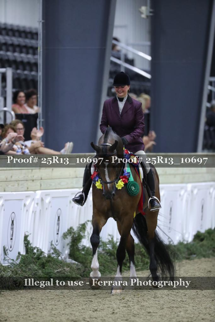 Proof 25R13_10697