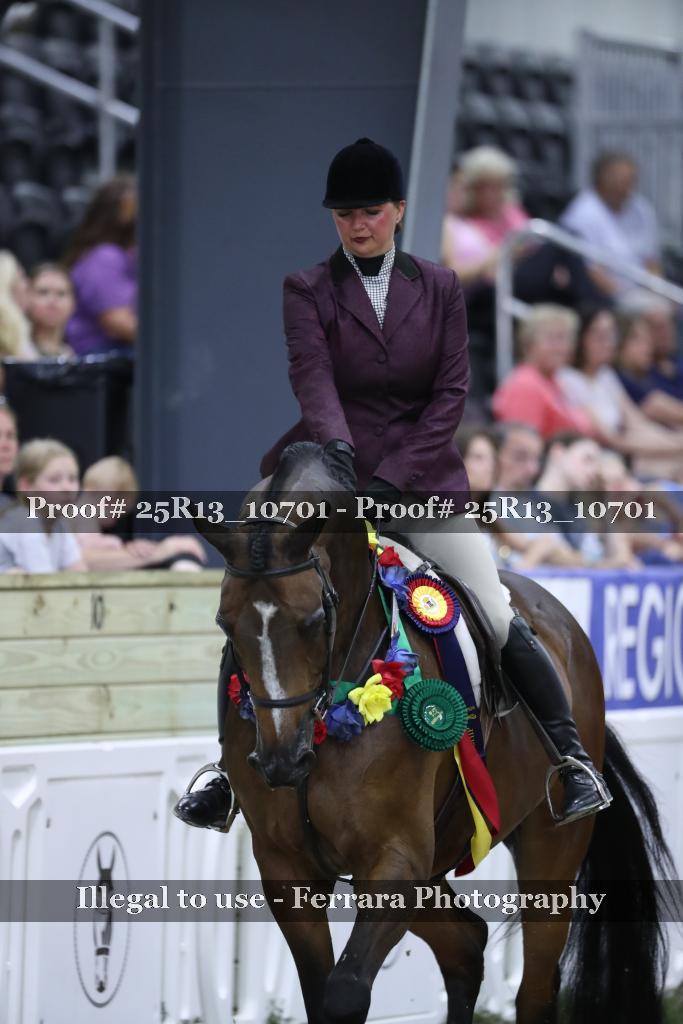 Proof 25R13_10701