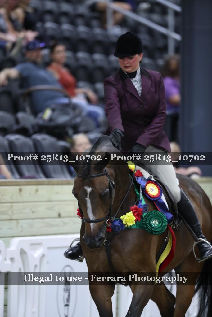 Proof 25R13_10702