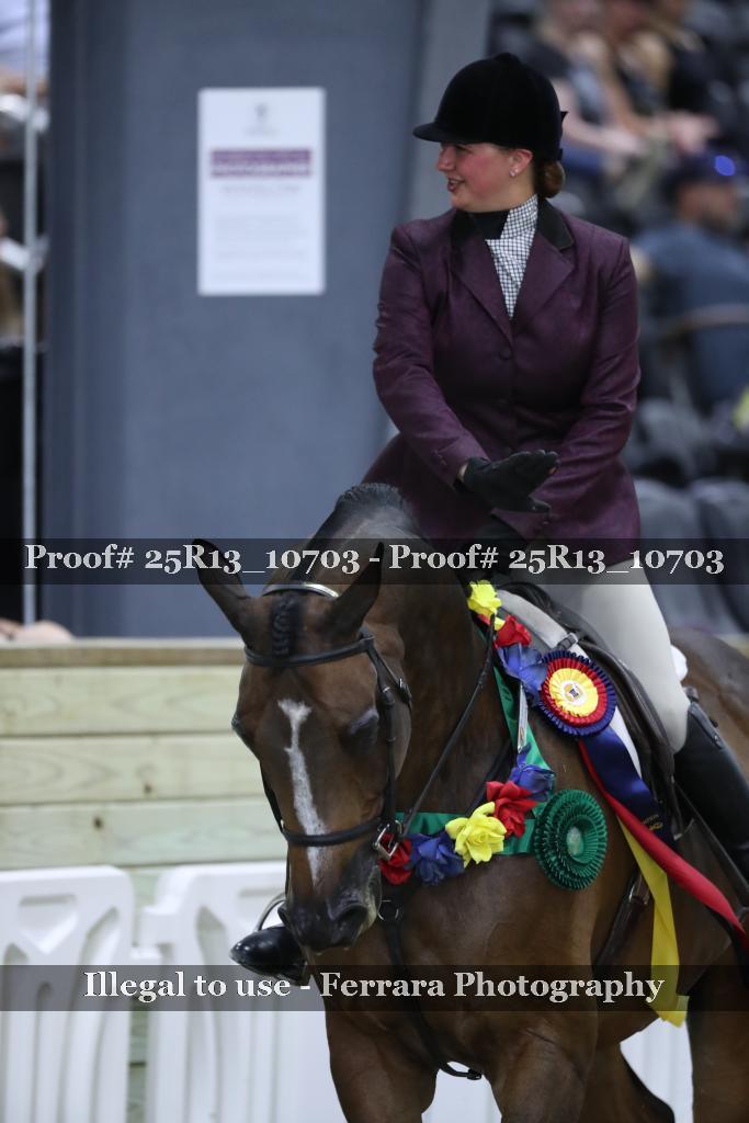 Proof 25R13_10703