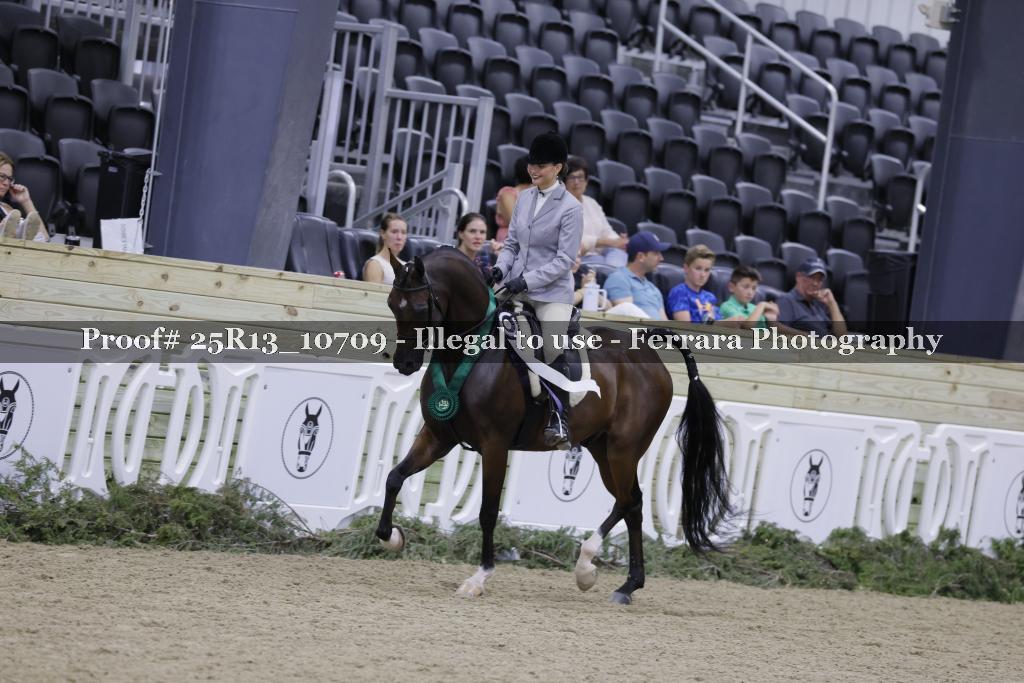 Proof 25R13_10709