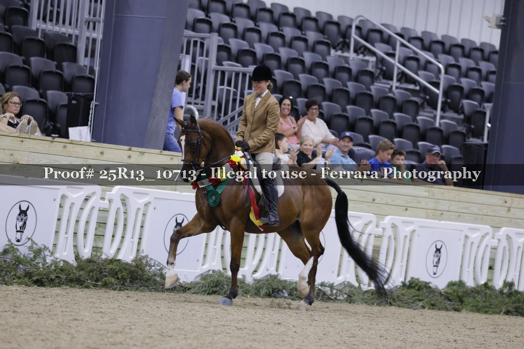 Proof 25R13_10713