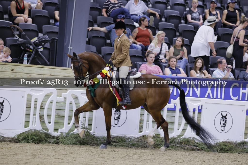 Proof 25R13_10716