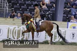 25R13_10717 proof