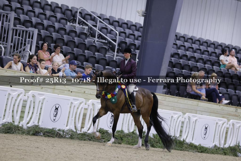 Proof 25R13_10718