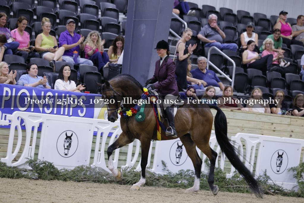 Proof 25R13_10720