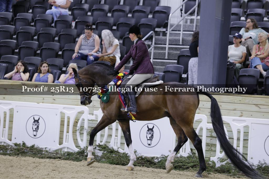 Proof 25R13_10725