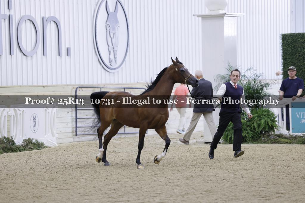 Proof 25R13_10731