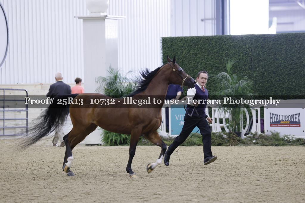 Proof 25R13_10732