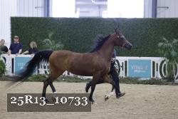 25R13_10733 proof