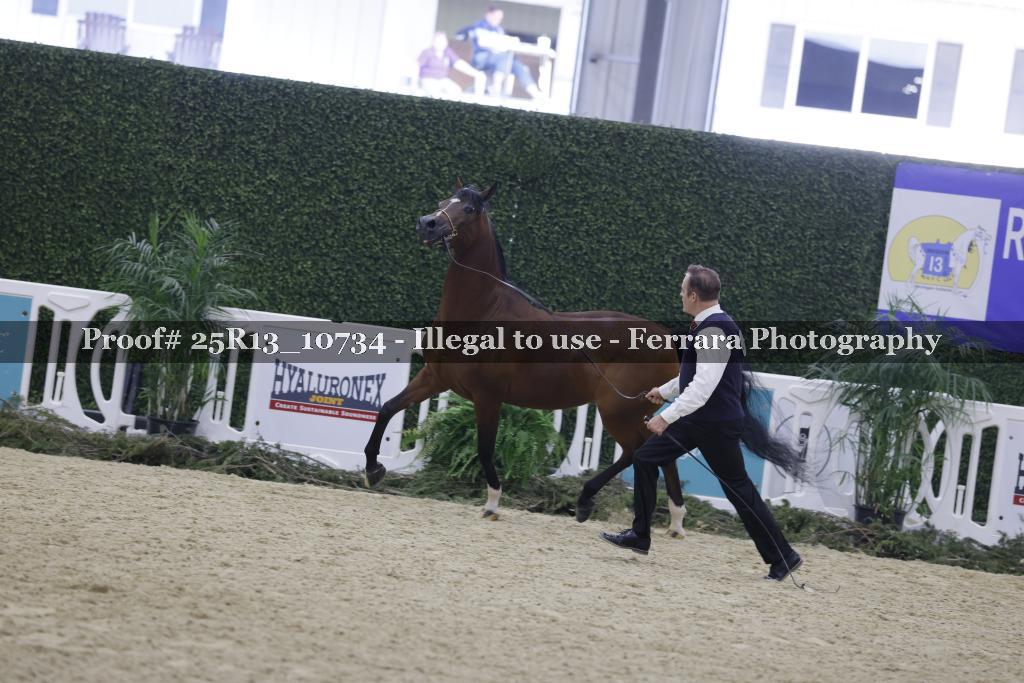Proof 25R13_10734