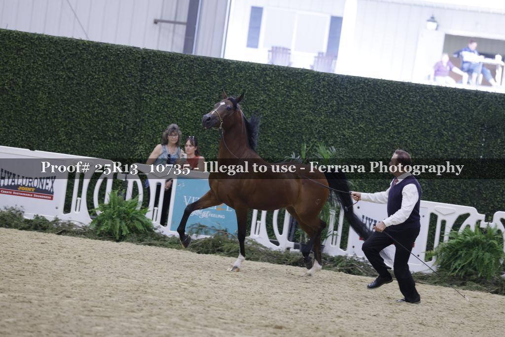 Proof 25R13_10735