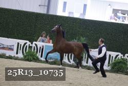 25R13_10735 proof