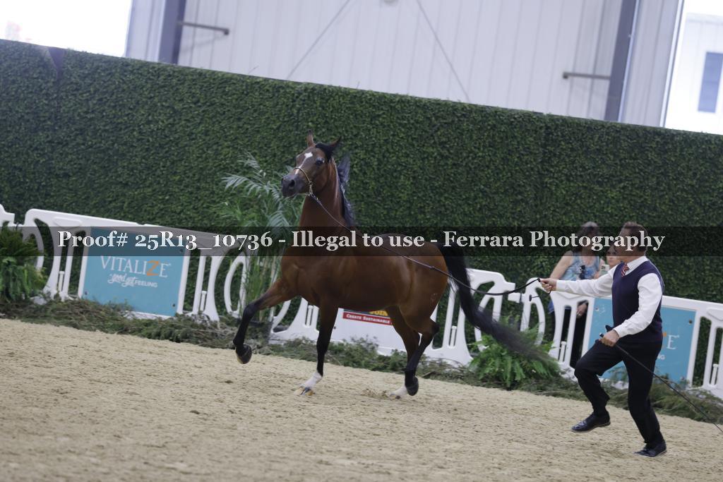 Proof 25R13_10736