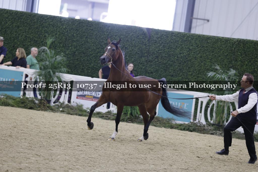Proof 25R13_10737