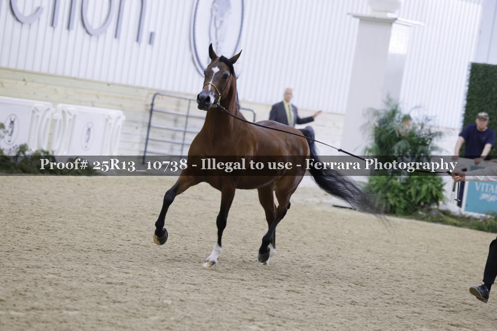 Proof 25R13_10738